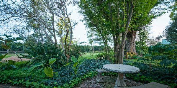 Lupus Den Country House B&B Sunland Esterno foto