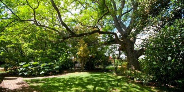 Lupus Den Country House B&B Sunland Esterno foto